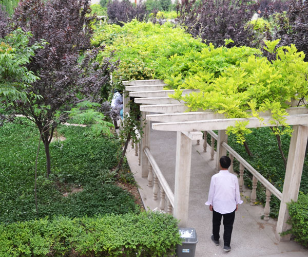 陕西西咸新区沣东新城王寺敬老院