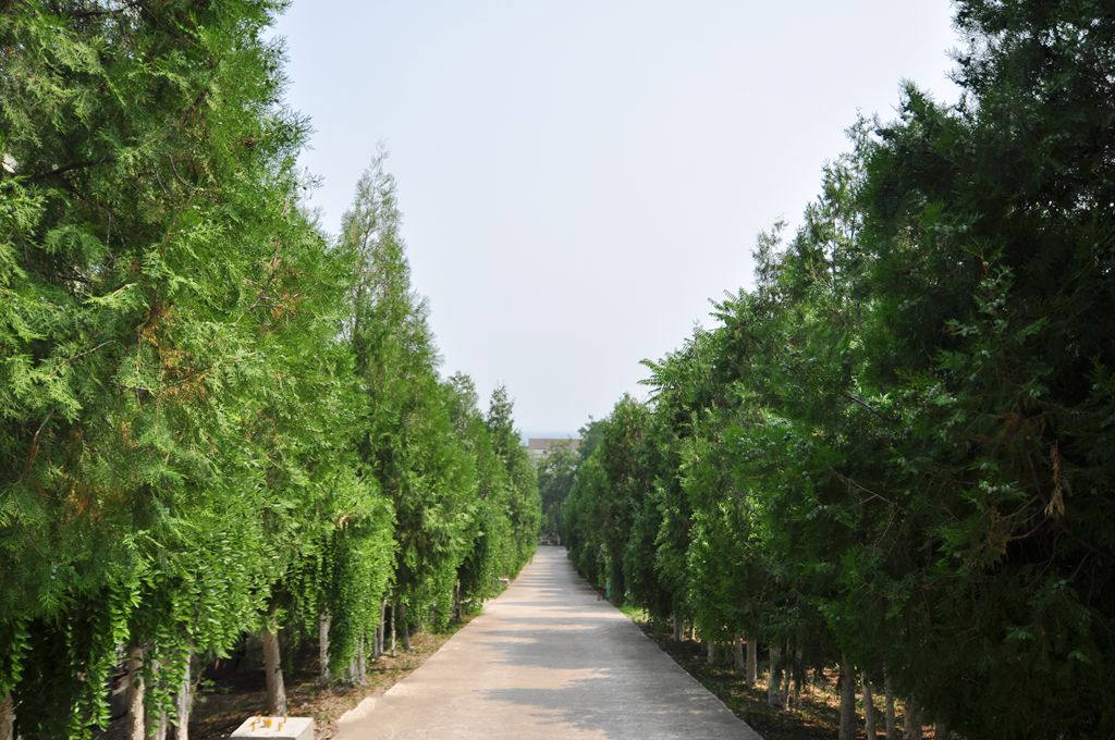 北京市延庆区张山营镇龙聚山庄敬老院