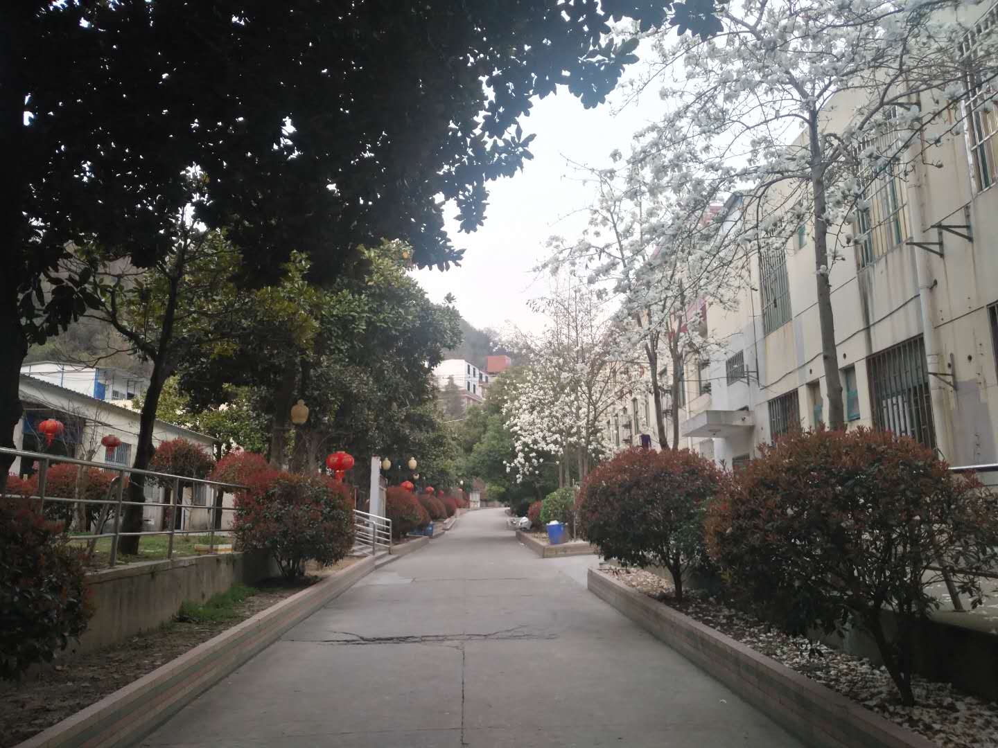 南京市鼓楼区向阳养老院