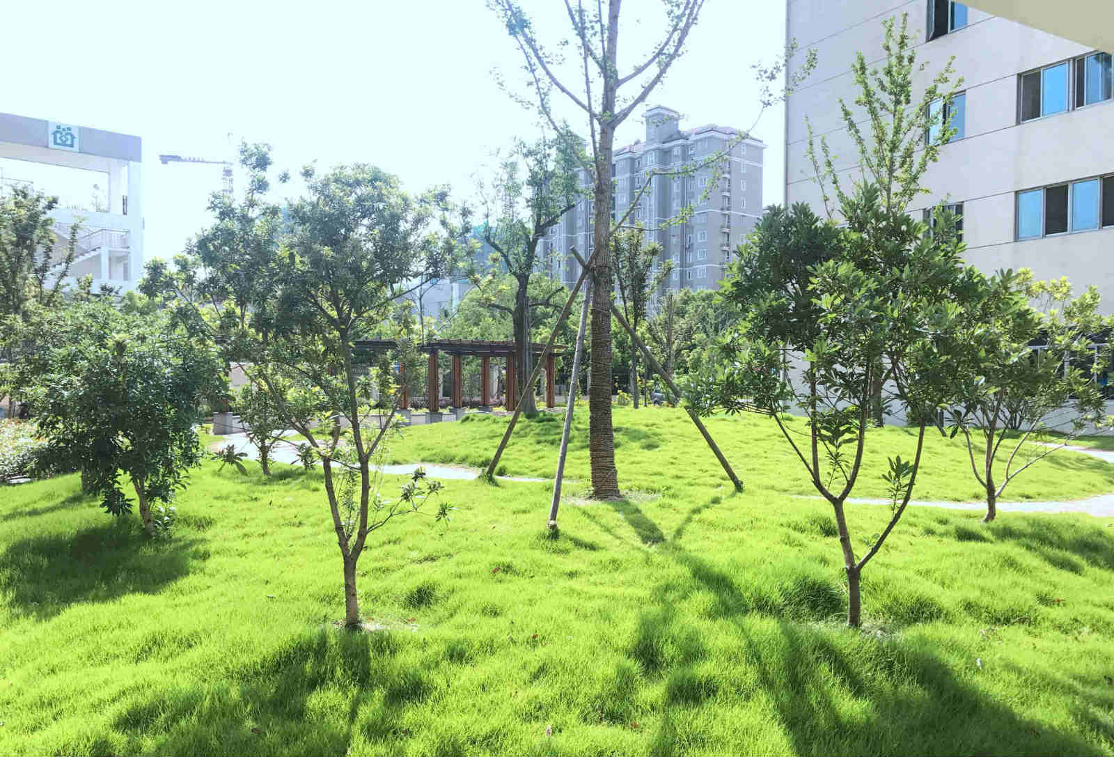 上海金色怡福护理院