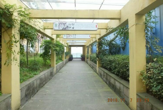 泸州中颐金色颐养院