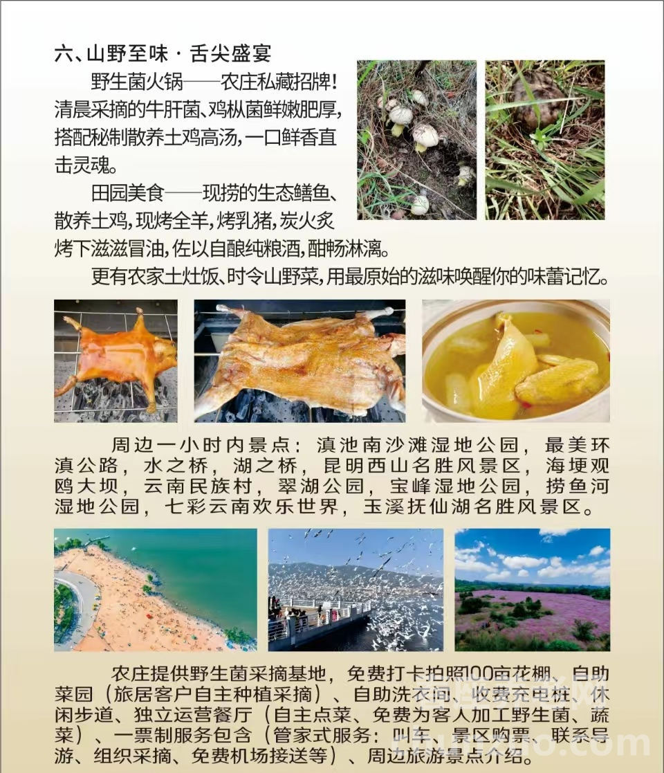 昆明乐璟农庄有限公司