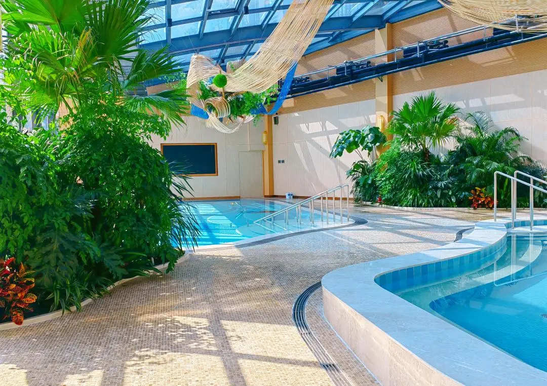 水疗康复怎么做的悦之府汤泉运动水疗训练，焕活长者身心的康养绿洲_https://www.jmylbn.com_新闻资讯_第1张