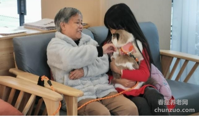 爱恩康养大熊猫基地医养服务综合体