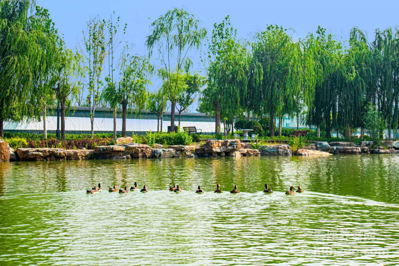 东篱颐养社区