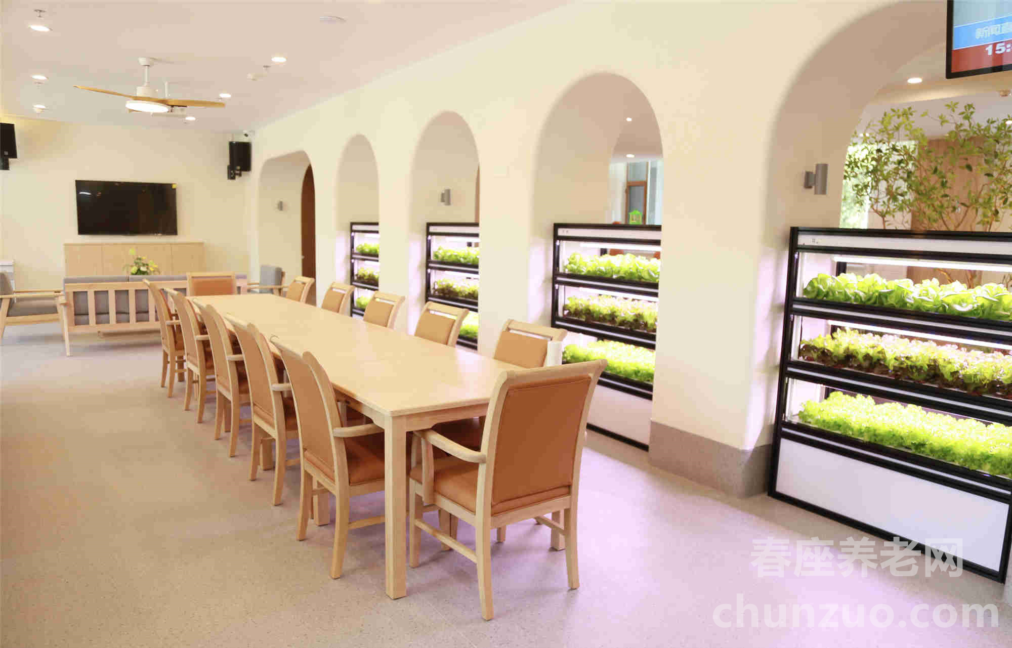 河北旅投寸草春晖养老院