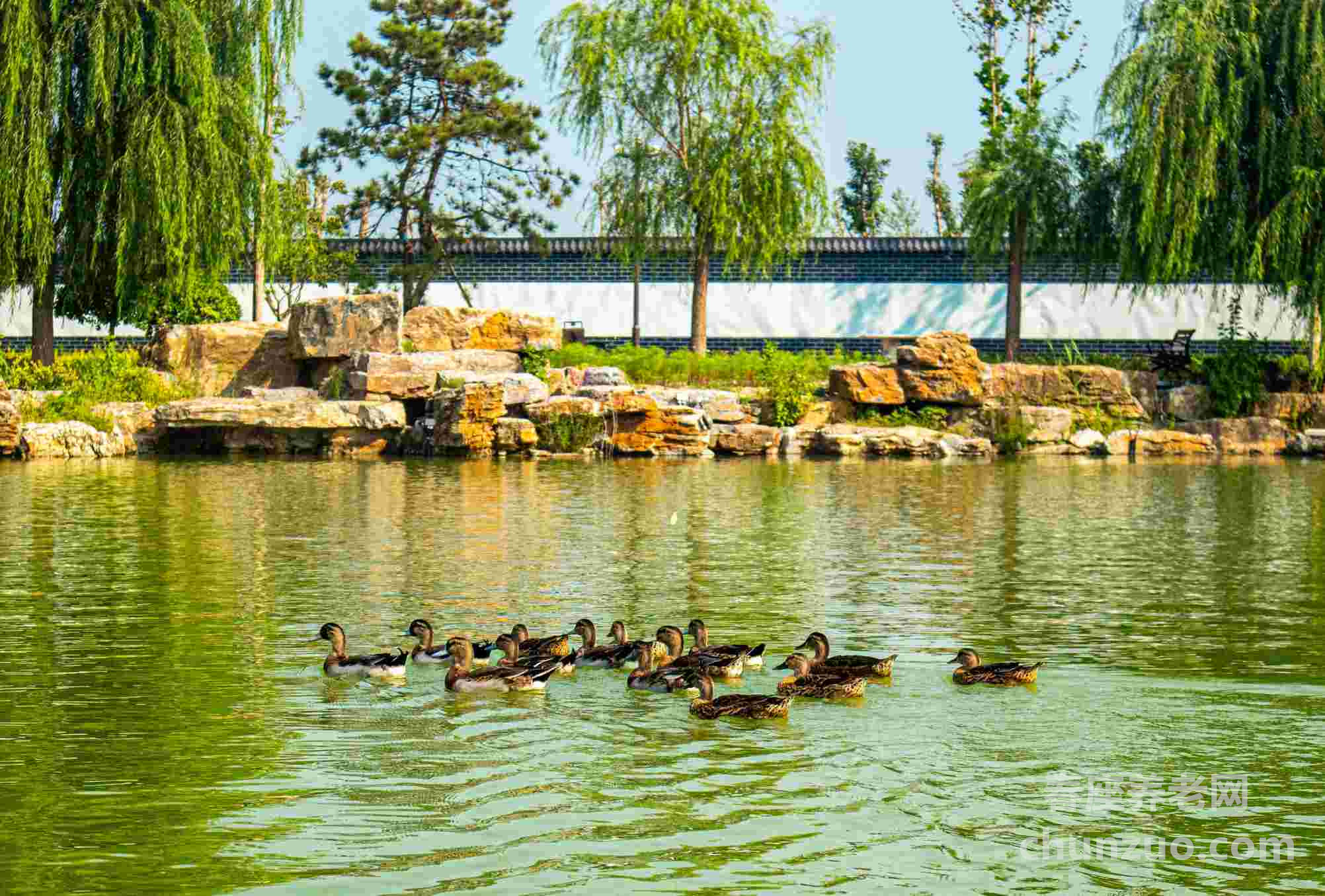 东篱颐养社区