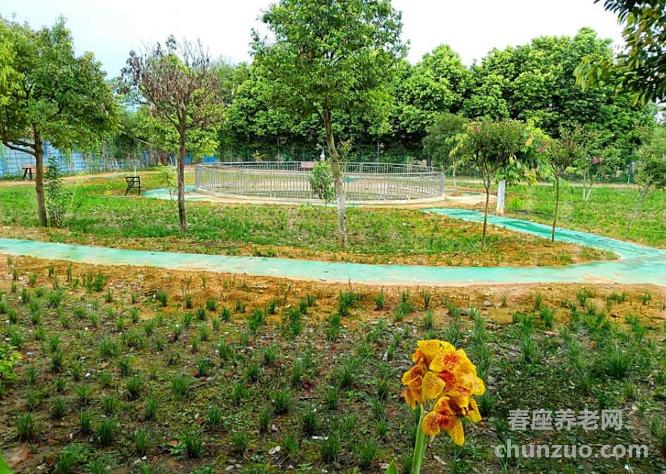成都市龙泉驿区洛带南山养老院