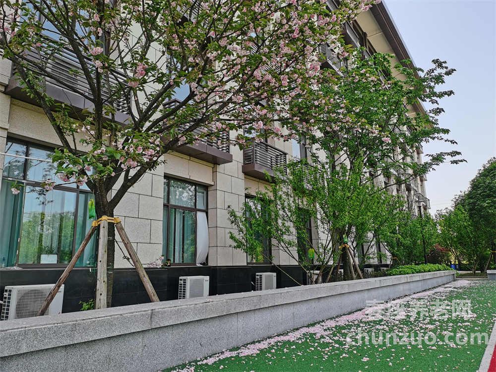 重庆国投健康长者公寓