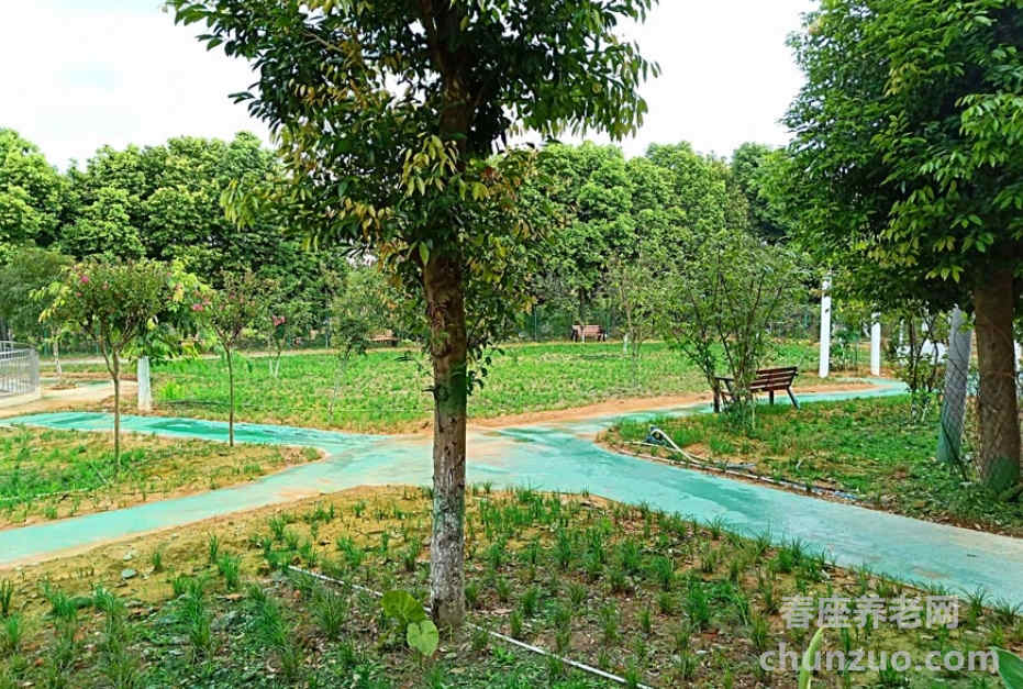 成都市龙泉驿区洛带南山养老院