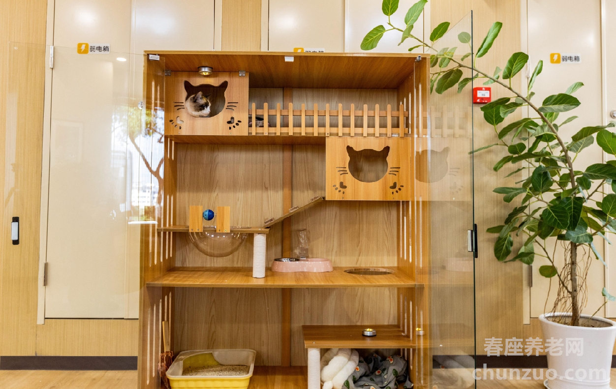 苏康养·竹辉养老院·美邸照护中心
