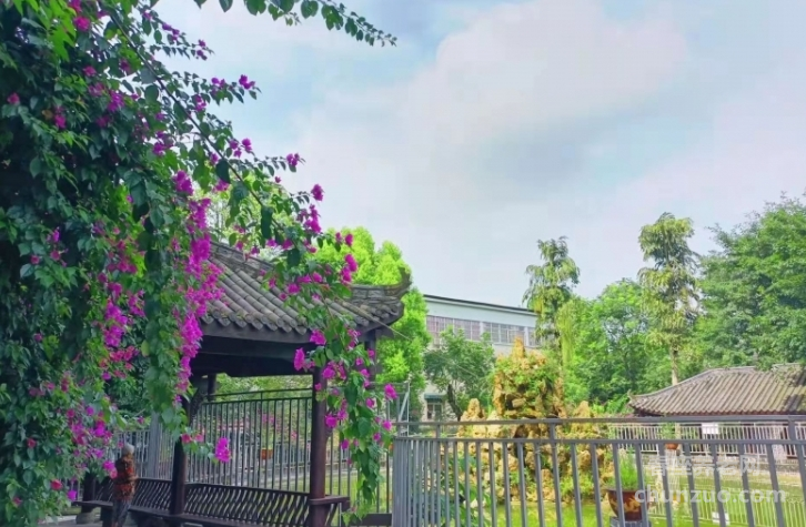 成都市纯德养老中心